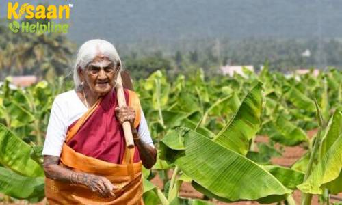 सफल कहानी: 105 साल की किसान पद्मश्री पप्पाम्मल की कहानी सफल कहानी: 105 साल की किसान पद्मश्री पप्पाम्मल की कहानी